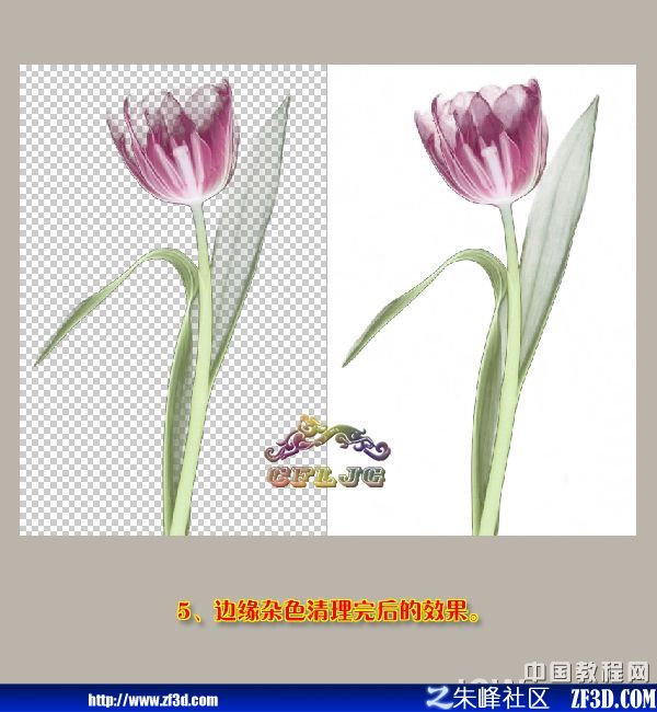 PhotoshopƤ߿ٓD